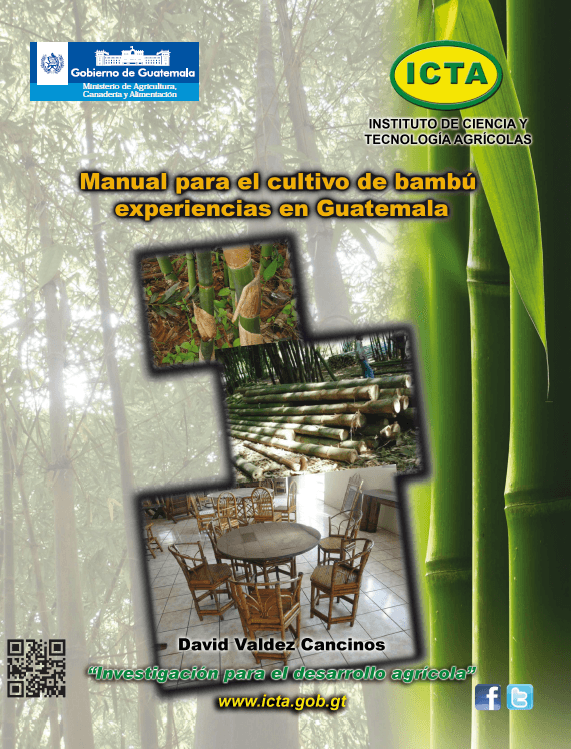 Manual para el cultivo de bambú experiencias en Guatemala (2013)